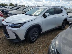 Salvage cars for sale at auction: 2022 Lexus NX 350