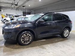 Ford salvage cars for sale: 2022 Ford Escape SE