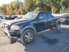 2006 Ford F150