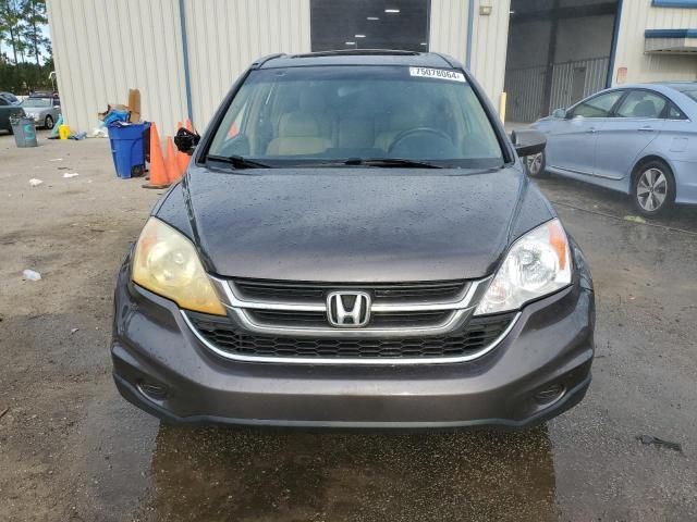 2010 Honda CR-V EXL