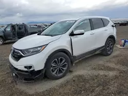 Salvage cars for sale at Helena, MT auction: 2020 Honda CR-V EXL