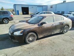 Salvage cars for sale at Vallejo, CA auction: 2010 Nissan Maxima S