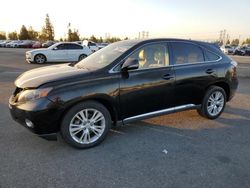 Lexus Vehiculos salvage en venta: 2010 Lexus RX 450H