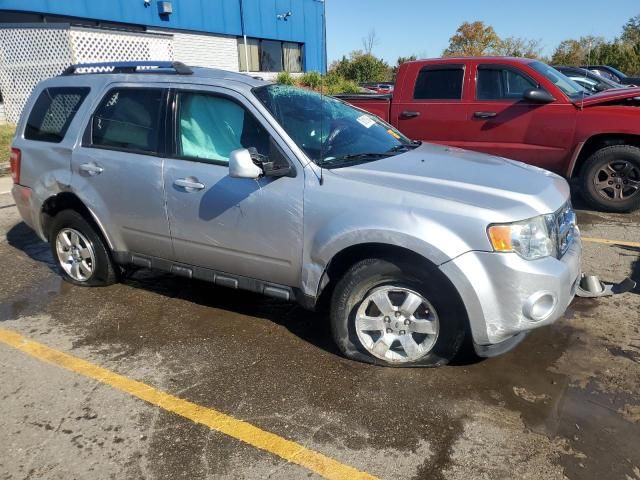 2010 Ford Escape Limited