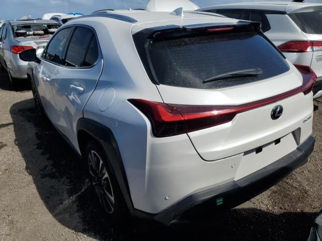 2019 Lexus UX 200