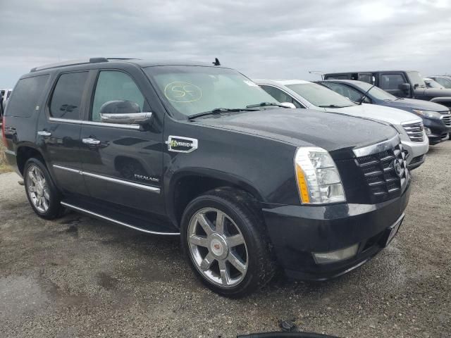 2010 Cadillac Escalade Hybrid