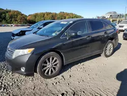 Toyota salvage cars for sale: 2010 Toyota Venza