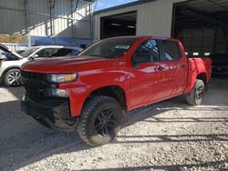 2019 Chevrolet Silverado K1500 Trail Boss Custom en venta en Rogersville, MO