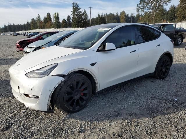 2021 Tesla Model Y