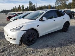 Tesla salvage cars for sale: 2021 Tesla Model Y