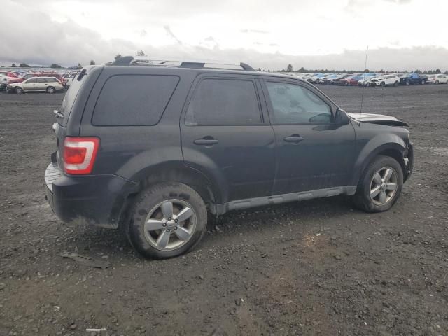 2011 Ford Escape Limited