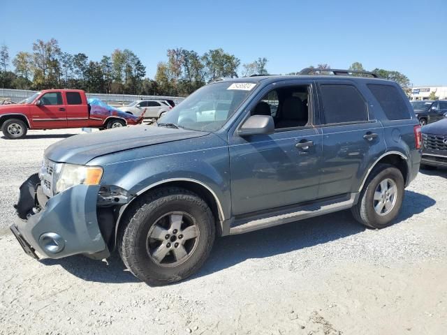 2010 Ford Escape XLT