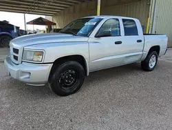 Dodge Vehiculos salvage en venta: 2011 Dodge Dakota SLT