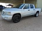 2011 Dodge Dakota SLT