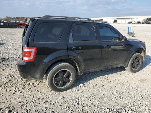 2012 Ford Escape XLT