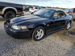 Carros dañados por inundaciones a la venta en subasta: 2004 Ford Mustang