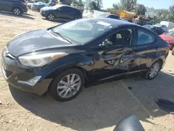 2015 Hyundai Elantra SE en venta en Baltimore, MD