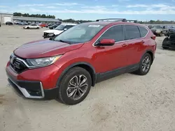 Salvage cars for sale at Gaston, SC auction: 2020 Honda CR-V EX