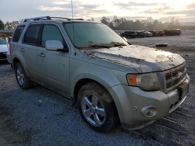 2011 Ford Escape Limited