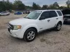 2008 Ford Escape XLT