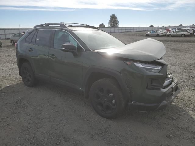 2024 Toyota Rav4 TRD OFF Road