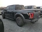 2019 Ford F150 Raptor