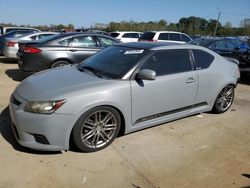 Salvage cars for sale at Louisville, KY auction: 2013 Scion TC