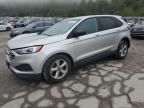 2019 Ford Edge SE