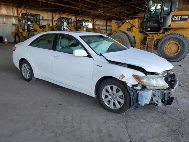 2009 Toyota Camry Hybrid