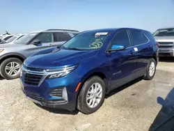 Chevrolet Equinox lt Vehiculos salvage en venta: 2022 Chevrolet Equinox LT