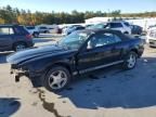 2001 Ford Mustang