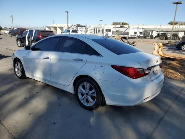 2011 Hyundai Sonata SE