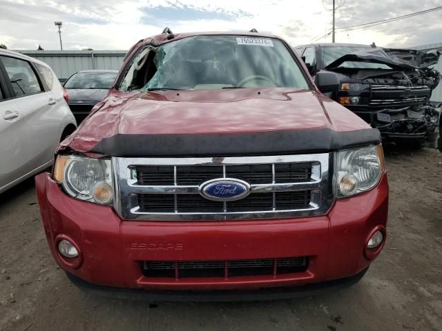 2011 Ford Escape XLT