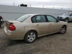 2007 Chevrolet Malibu LT