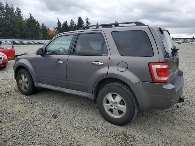 2009 Ford Escape XLT