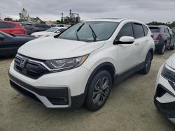 Salvage cars for sale at Riverview, FL auction: 2020 Honda CR-V EX