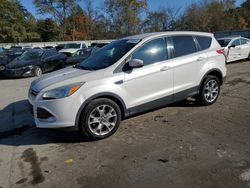 Run And Drives Cars for sale at auction: 2013 Ford Escape SEL