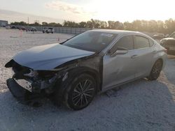 Salvage cars for sale at New Braunfels, TX auction: 2023 Lexus ES 350 Base