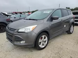 Salvage cars for sale at Arcadia, FL auction: 2013 Ford Escape SE