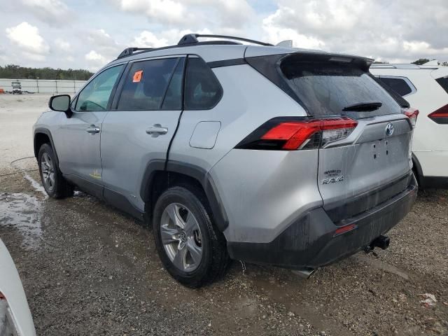 2023 Toyota Rav4 LE