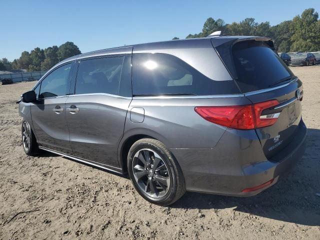 2024 Honda Odyssey Elite