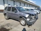 2007 Ford Escape XLS