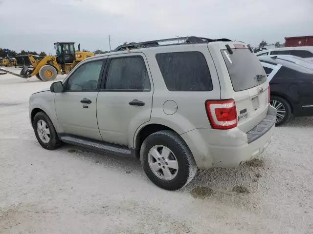 2009 Ford Escape XLT