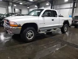 Salvage cars for sale at Ham Lake, MN auction: 2000 Dodge Dakota