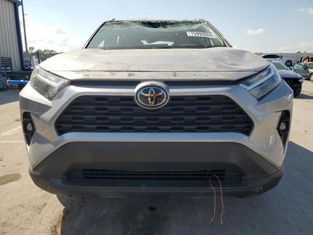 2024 Toyota Rav4 XLE Premium