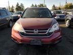 2011 Honda CR-V EXL