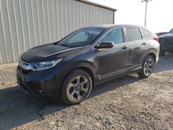 Salvage cars for sale at Temple, TX auction: 2019 Honda CR-V EXL