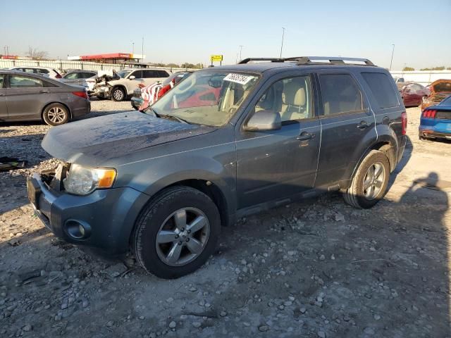 2011 Ford Escape Limited