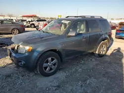 Salvage cars for sale at Cahokia Heights, IL auction: 2011 Ford Escape Limited