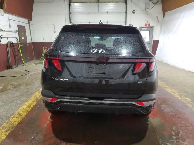 2024 Hyundai Tucson SEL